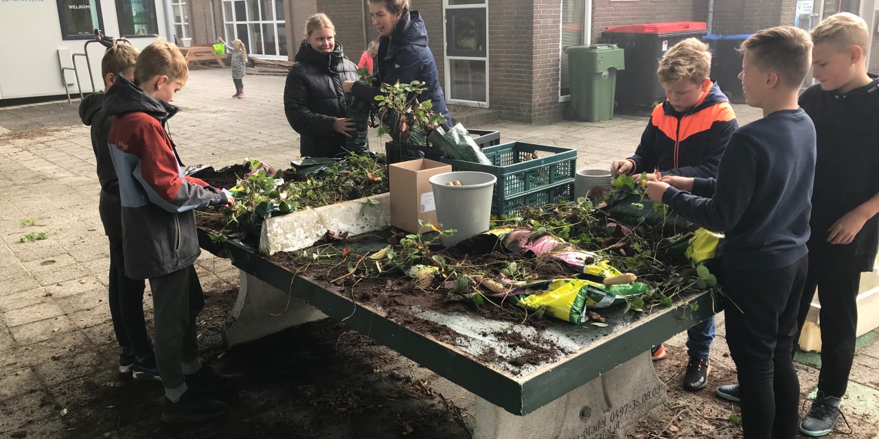 Natuur: schooltuin opdrachten